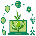 Zaytoun Solutions