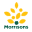 Groceries Morrisons